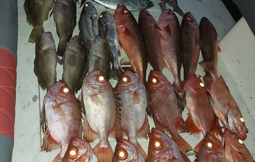 Offshore Bottom Fishing