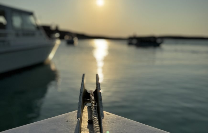 Offshore Bottom Fishing