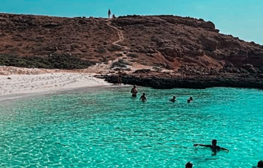 AL Daymaniyat Island Snorkeling Trip (Half Day)