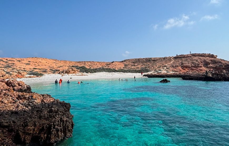 AL Daymaniyat Island Snorkeling Trip (Half Day)