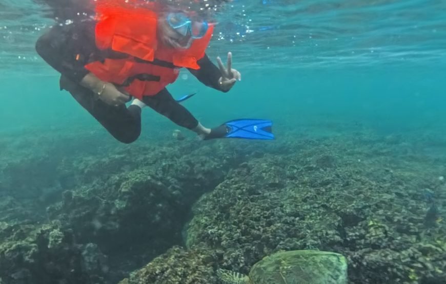 AL Daymaniyat Island Snorkeling Trip (Half Day)