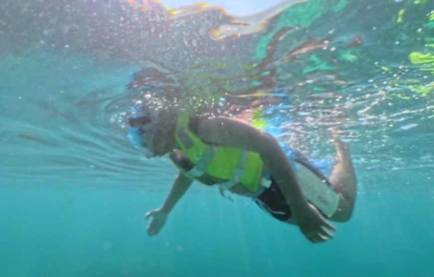 AL Daymaniyat Island Snorkeling Trip (Half Day)