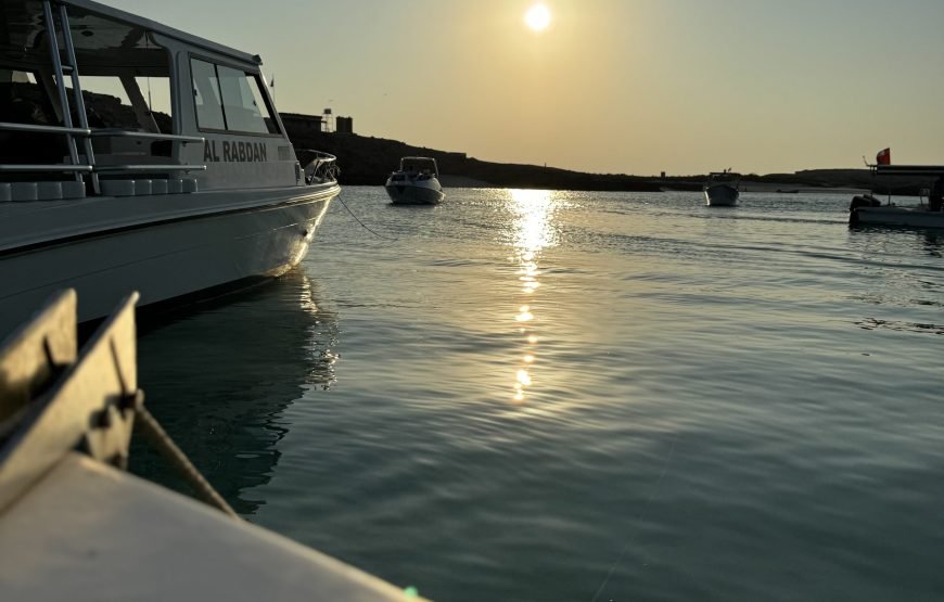 AL Daymaniyat Island Snorkeling Trip (Half Day)