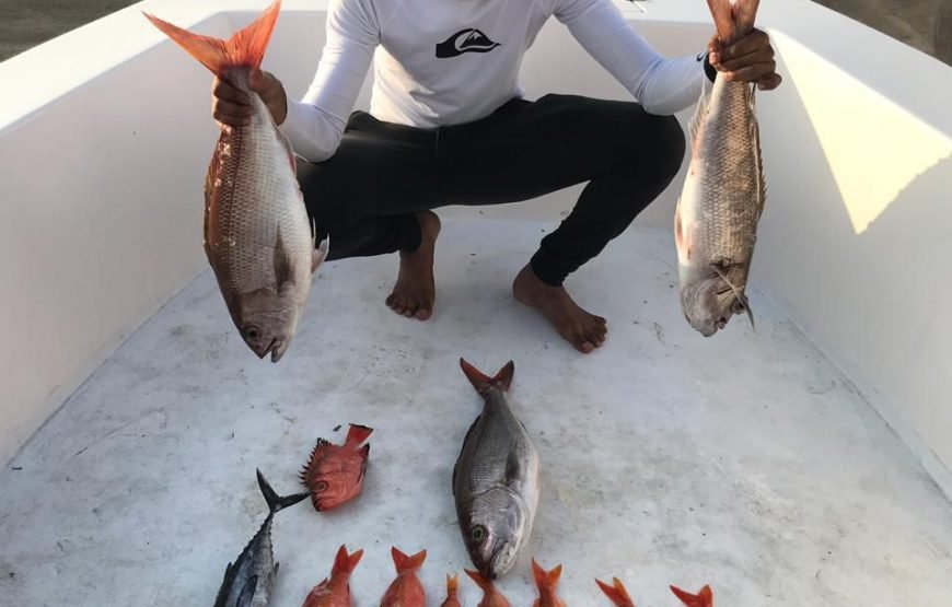 Offshore Bottom Fishing